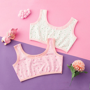 Four Seasons Breathable Cotton Girls' Developmental Underwear Base Vest Girls' Double-Layer Tube Top Bra for Students