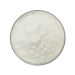 Ginkgo Peptide 98% Ginkgo Extract Food Ingredients Water Soluble Small Molecule Oligopeptide Powder in stock Ginkgo Peptide