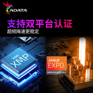 XPG Veyron D300 BLade/DDR5 Блок памяти 32G 6000 6400 настольный разогнанный жилет
