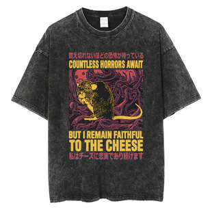 Japanese The Horrors Frog Vintage Washed T Shirt Men's Gothi