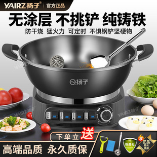 Yangzi без покрытия Многофункциональный электрический вок Бытовая электрическая плита Чугунная электрическая сковорода Паровая тушеная кастрюля