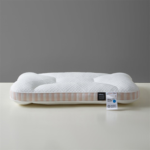 Deep Sleep Memory Pillow Pillow Core Cervical Spine Protection Helps Sleep Adult Sleeping Home Pair Dormitory High Gift Wholesale