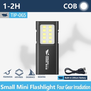 Thermal wire lighter with flashlight windproof cigarette lig