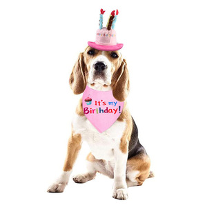 Cross-border exclusive wholesale dog plush birthday hat pet saliva towel pet birthday party cotton triangle towel