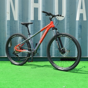 High-end 29-inch aluminum alloy mountain bike oil disc 12-speed bottom span front and rear cross-cut paint vehicle bearings