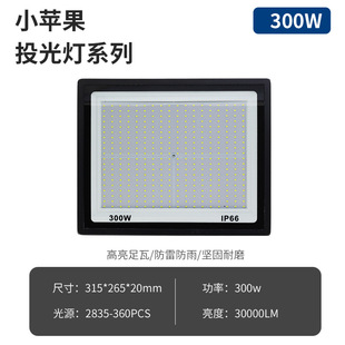 Производители источников 100W Small Apple Открытый водонепроницаемый Светодиодный прожектор 200W открытый прожектор