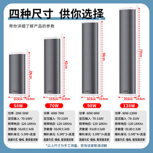 SAST (SAST)H-801 Outdoor Waterproof Sound Column Wall Hanging Sound 5.5 "Outdoor Conference School