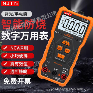 Nanjing Tianyu T21G Household Digital Multimeter Automatic Range Anti-burn Portable Small Digital Display Electrician
