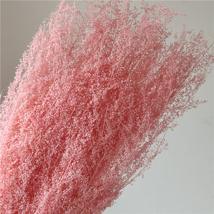 Eternal Flower Rice Artemisia Flower Dried Flower Flower bouquet Home Decoration Wedding Decoration Aromatherapy Candle Flower Material Diy Material Bag