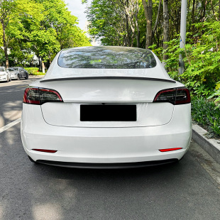 Suitable for Tesla Tesla Model 3 Mao Dou 3 Original P Edition Tail Fixed Wind Wing Modification