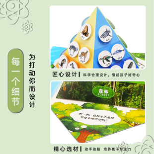 science experiment food chain pyramid diy technology small making children handmade student biological material package suit