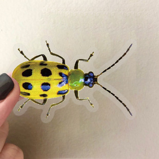 50 Realistic Insect Series Stickers Children's Early Education DIY Decoration Notebook Water Cup Waterproof PET Toy Stickers
