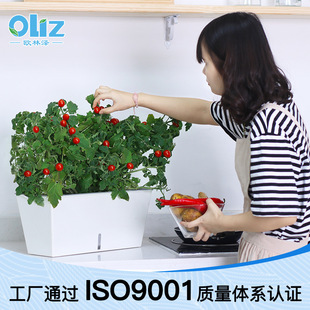 Cross-border Large Balcony Vegetable Pot Home Gardening Thickened Rectangular Fruit and Vegetable Flower Pot Plastic Flower Pot Factory Pot