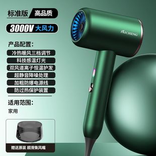 Hair dryer hair dryer barber shop high power negative ion hair salon cold and hot wind mute home wind quick dry wholesale
