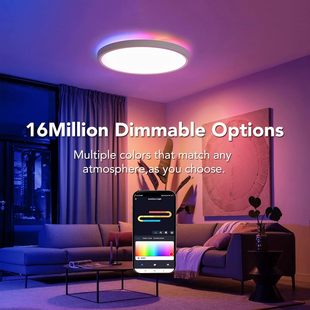 Graffiti Smart LED Ceiling Light RGB Colorful Moisture-Proof Dust-Proof Mosquito-Proof Compatible with alexa Language Control Bedroom Light