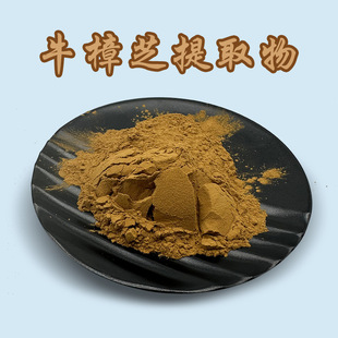 Экстракт Cinnamomea 50:1 Высокие пропорции Cinnamoa полисахарид Xinlu спот порошок Cinnamomea 1 кг