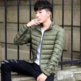 Down cotton-padded jacket men's 2024 autumn and winter new lightweight down jacket stand collar warm casual coat men's factory straight hair