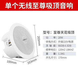 SAST (to be used with power amplifier or host) ceiling ceiling hanging speaker hanging ball