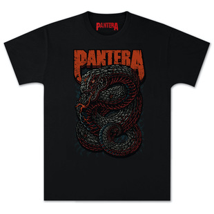 Мужская хлопковая свободная футболка с короткими рукавами Pantera Pandora Band Rock Diablo, Классический ретро-альбом