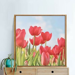 Новый тюльпан алмазная живопись DIY пара подарок ручной работы полный бриллиант вышивка Гостиная Спальня украшение