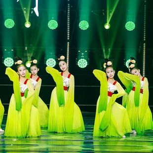 Children's Water Sleeve Performance Costume Female Caiwei Dance Costume Hanzhong National Style Sleeve Elegant Children's Classical Dance Performance Costume