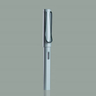 Morandi pen student positive posture calligraphy practice 0.38EF Iridium gold pen tip ink bag ink-absorbing can be replaced