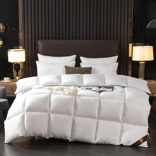 Five-star hotel bed & breakfast quilt quilt core thickened feather velvet winter quilt spring and autumn quilt wholesale one-piece delivery