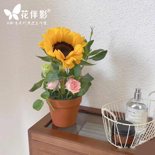 Flower Companion Movie Fans You Pottery Color Flower Pot Creative Handmade diy Crochet Car Decoration Simulation Grass Small Flower Pot Drop-proof