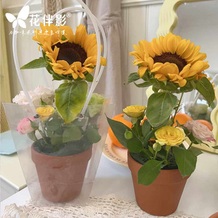 Flower Companion Movie Fans You Pottery Color Flower Pot Creative Handmade diy Crochet Car Decoration Simulation Grass Small Flower Pot Drop-proof
