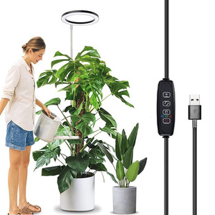 Cross-border new timing increase angel ring telescopic floor plant lamp full spectrum fill light low voltage 5vUSB