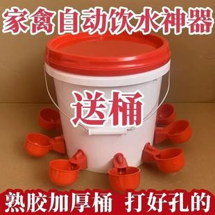 Chicken, duck, goose, poultry, automatic water feeder, breeding bucket, duck, goose, chicken, automatic water dispenser, pigeon drinking, free shipping
