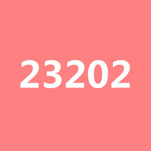 23202