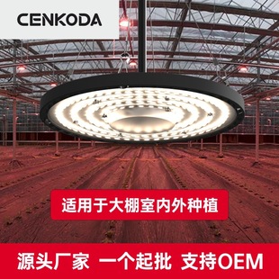 Трансграничный светодиодный полный спектр имитация солнечного света ufo высокая световая лампа роста растений теплицы овощи фрукты заполняет свет