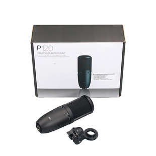 P120 Condenser Microphone Recording Studio Anchor Headset Live Audio Book Special Singing K Microphone Cross Border