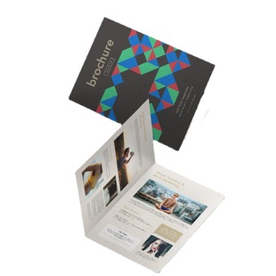 Free design and printing company picture album printing product manual advertising single page picture album 30% color page