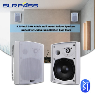 Wall-mounted Bluetooth Speaker Surround Restaurant Bar Dance Classroom Super Supermarket Speaker School Multimedia Classroom Audio