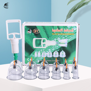 Baoyi vacuum cupping 12 cans of foam inner tray Chinese English Arabic packaging suitable for foreign trade export