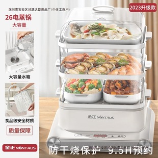 Pot Steam Steamer Electric Steamer Cross-border Automatic 10V Electric Steamer Household Multifunctional Large Capacity Three-layer 1 Free Shipping