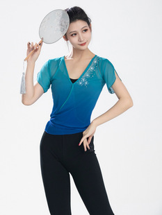 Classical dance gauze clothing training suit North dance same basic training dance suit Chinese dance art test body rhyme jacket short Zhao Zhisun