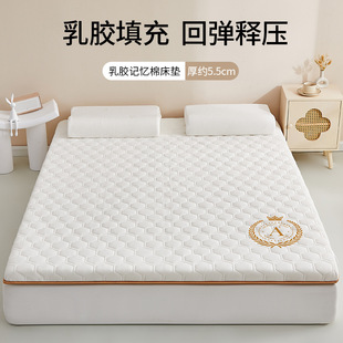 Latex Memory Foam Mattress Upholstery Household Bedroom Dormitory Student Single Thickened Tatami Sponge Autumn and Winter Mattress
