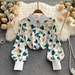 2023 Super Fire Shirt Spring New Women's All-match Design Niche Top Printed Long-sleeved Chiffon Shirt Trendy