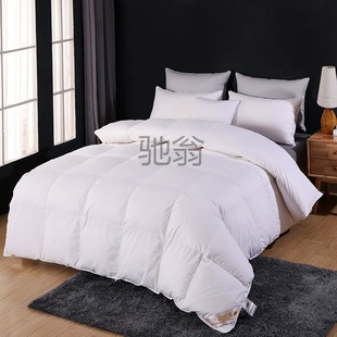 1 yj100% down quilt Hilton 95 white goose down cotton anti-feather cloth winter quilt air conditioning quilt core single double goose down