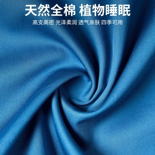 Buckwheat Pillow Single Student High Buckwheat Skin Household Deep Sleep Aid Adult Cervical Spine Protection Full Buckwheat Shell Pillow