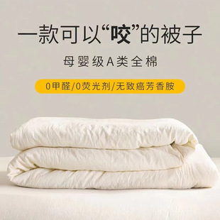 Upgraded Class A Raw Cotton Soybean Fiber Wash Cotton Thickened Soybean Protein Quilt Spring and Autumn Warm Winter Quilt Core