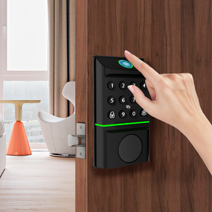 Cross-border fingerprint password lock North America Amazon e-commerce smart lock graffiti WiFi all Bluetooth source factory