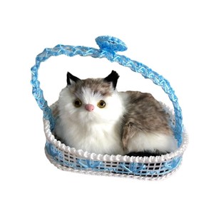 Поднятый синий кот в ладоши назовет живописное место, имитируемое животным, кошка, подарок на день рождения
