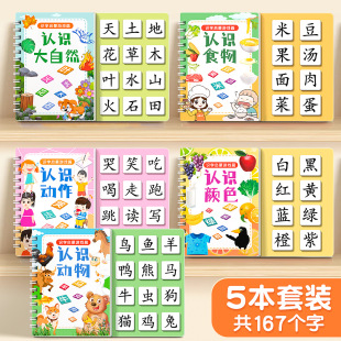 Literacy Book for Children to Recognize Words, Enlightenment, Early Education, Quiet Book, Children's Literacy Cards, Full Set of Kindergarten Baby Cognition