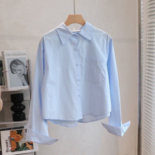 Spring and Autumn Short Shirt Women's New Style Small Inner Wearing Outer Wearing Student Shirt Long Sleeve Design Sense French Top Trendy