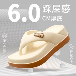Flip-flops women's summer new wear thick bottom shit-feeling beach anti-slip network red clip feet color matching sandals wholesale