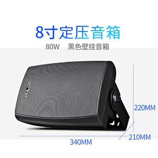 Xianke Ceiling Speaker Embedded Ceiling Audio Home Background Music Indoor Wall-mounted Hanging Ball Speaker